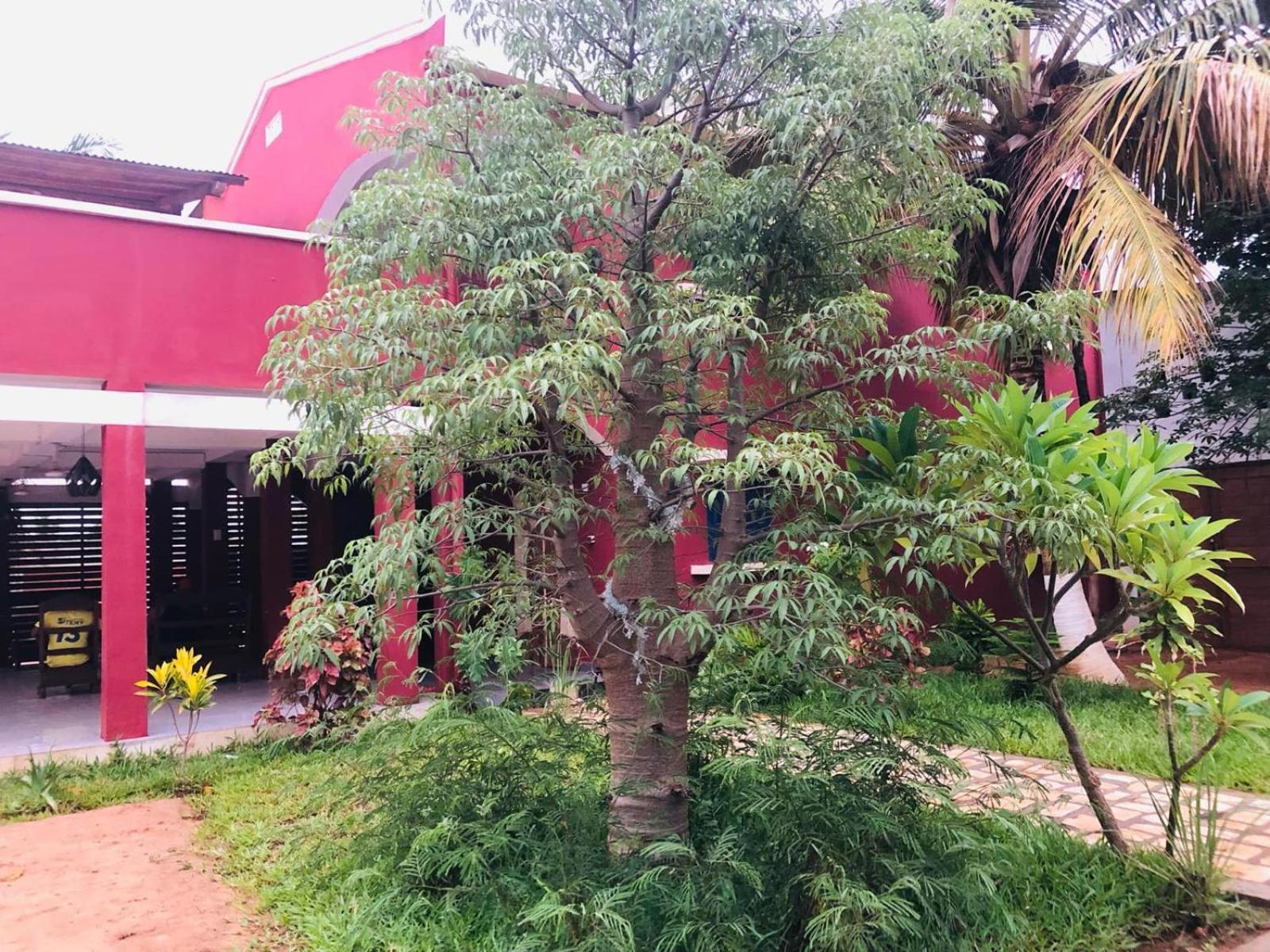 Bed and Breakfast Bohobé Naboty Toliara Exterior foto